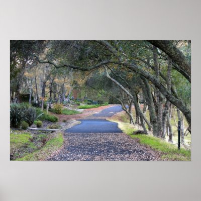 "Autumn Walk" Poster by michaelsnydermusic
