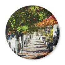 Autumn Walkway magnets