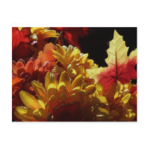 Autumn Warmth postcards by closphotos Autumn Warmth postcards