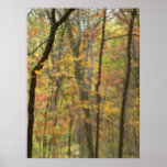 Autumn Watercolor Poster