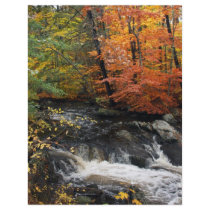 Autumn Waterfall flyers