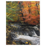 Autumn Waterfall flyers