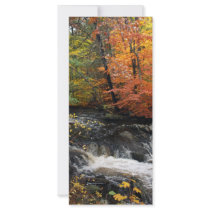 Autumn Waterfall rack cards