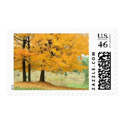 Autumn Wedding Fall Wedding Invitation Postage