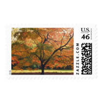 Autumn Wedding Fall Wedding Invitation Stamps