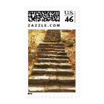 Autumn Wedding Fall Wedding Invitations Postage