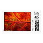 Autumn Wedding Postage Stamp