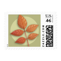 Autumn White Ash Leaf Postage postage