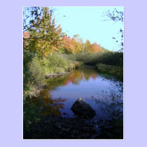"Autumn Winding River in Wisconsin" Postcard postcards