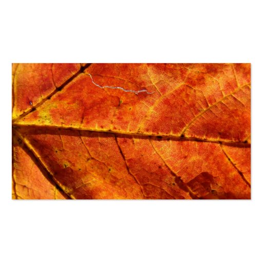 Autumn Winds , Autumn Leaf Macro Photo Business Card (back side)