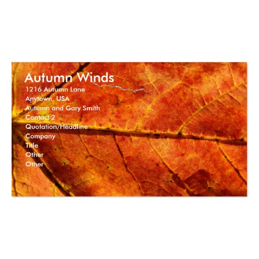 Autumn Winds , Autumn Leaf Macro Photo Business Card (front side)