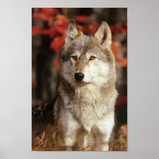 Autumn Wolf Posters