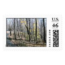 Autumn Wood postage by AmyZhang Autumn Wood postage