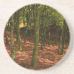 Autumn Woodland Coaster