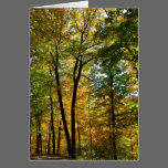 Autumn Woods Greeting Card cards