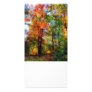 Autumn Woods Picture Card