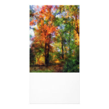 Autumn Woods Picture Card