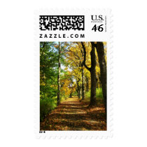 autumn woods postage