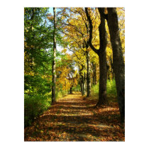 autumn woods posters