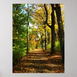 autumn woods print