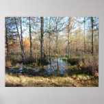 Autumn Woods posters