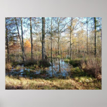 Autumn Woods Posters