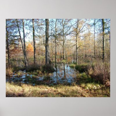 Autumn Woods Posters by Bro_Jones