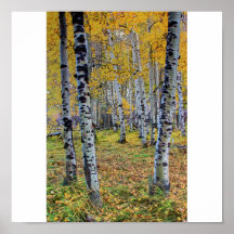 Autumn Woods Print