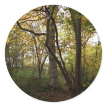 Autumn Woods Sticker stickers