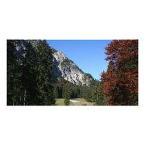 Autumnal Alm Photo Cards