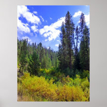 Autumnal Grandeur Print