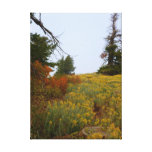 Autumnal Idaho Canvas Print