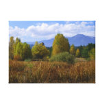 Autumnal Idaho Gallery Wrapped Canvas