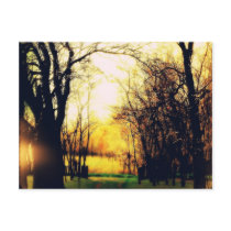 Autumnal tree Art postcard