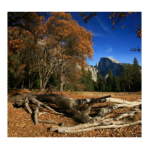 AutumnCooksMeadow posters by Edie_Howe AutumnCooksMeadow posters