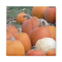 Autumn's Bounty 3 Magnet by hopefulone Autumn's Bounty 3 Magnet