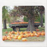 Autumn's Bounty I Mousepad