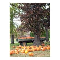 Autumn's Bounty I Poster posters by hopefulone Autumn's Bounty I Poster posters
