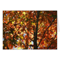 Autumn's Colors cards
