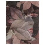 Autumn's Face Letterhead Template