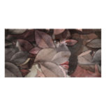 Autumn's Face Picture Card