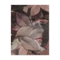Autumn's Face postcards