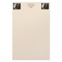 Autumn's Finest Cat and Pumpkin Duo Stationery Design