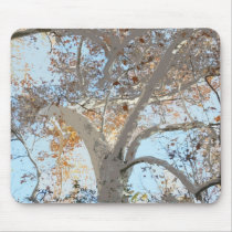 Autumn's Garments mousepads by ChristyMcAuley Autumn's Garments mousepads