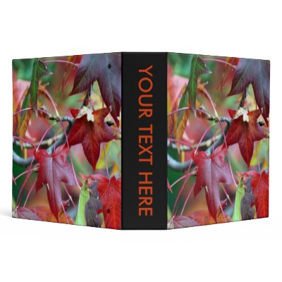 Autumn's gift 3 ring binders by TheScenicRoute