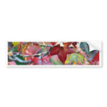 Autumn's gift bumper stickers