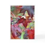 Autumn's gift card