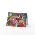 Autumn's gift greeting cards