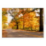 AUTUMNS GLEAM