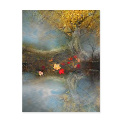 Autumns harvest ,postcard by signore